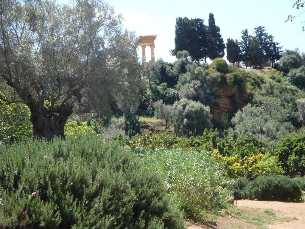 Guest House Artemide Agrigento Buitenkant foto